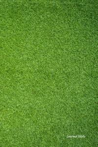 Journal Daily: Green Grass Rug, Lined Blank Journal Book, 6 X 9, 200 Pages, Dailyjournal Notebook