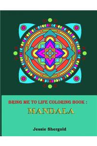 Bring Me To Life Coloring Book