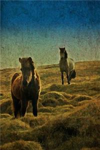 Horses