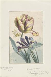 Tulip and an Iris Art Journal