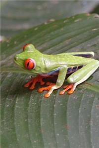 Tiny Green Tree Frog Journal