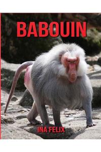 Babouin