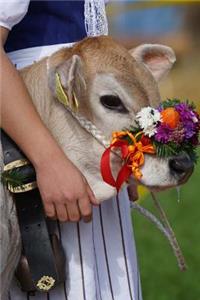 My Pretty Little Calf Alpine Village Festival Journal