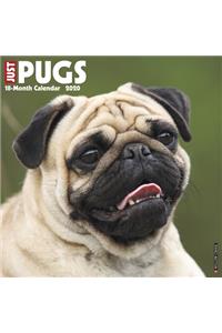 Just Pugs 2020 Wall Calendar (Dog Breed Calendar)