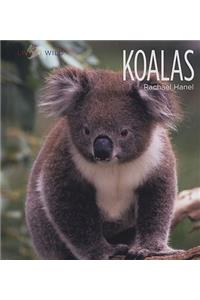 Koalas