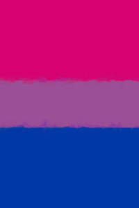 Bisexual Pride Flag Sketchbook