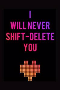 I Will Never Shift - Delete You