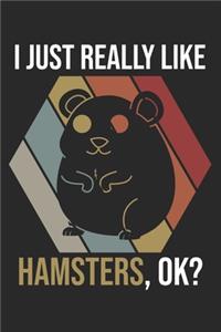I Just Really Like Hamsters, OK?
