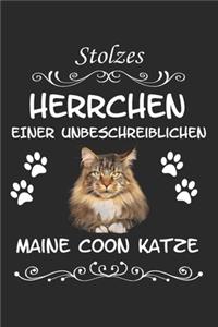 Stolzes Herrchen einer Unbeschreiblichen Maine Coon Katze