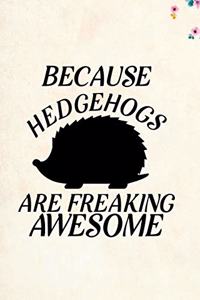 Because Hedgehogs Are Freaking Awesome