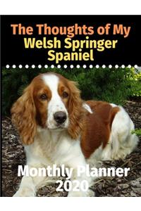 The Thoughts of My Welsh Springer Spaniel