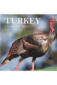 Turkey Calendar 2019