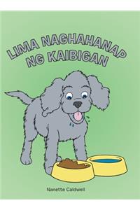 Lima Naghahanap Ng Kaibigan