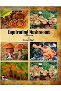 Captivating Mushrooms