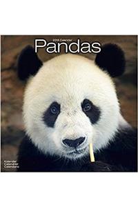 Pandas Calendar 2018
