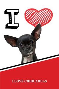 I Love Chihuahuas