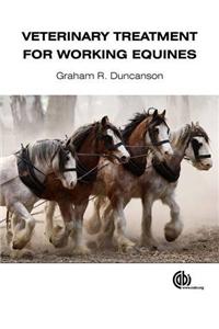 Veterinary Treatment for Working Equines [Op]