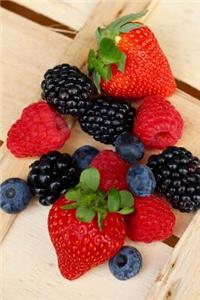 Sweet Summer Fruits Journal