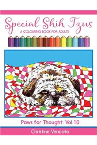 Special Shih Tzus