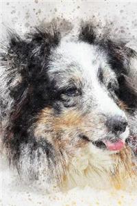 The Shetland Sheepdog Notebook