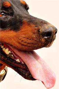 Doberman Panting from the Run Journal