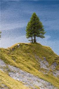 A Fir Tree on a Hill Overlooking the Lake Journal