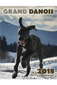 Grand Danois 2018 Calendrier (Edition France)