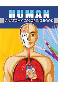 Human Anatomy Coloring Book