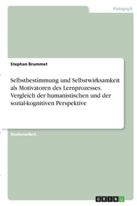 Selbstbestimmung und Selbstwirksamkeit als Motivatoren des Lernprozesses. Vergleich der humanistischen und der sozial-kognitiven Perspektive