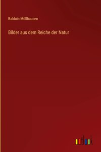 Bilder aus dem Reiche der Natur