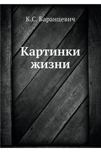Картинки жизни
