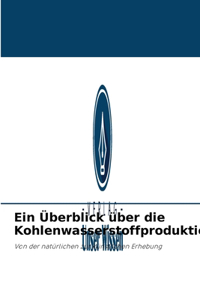 Überblick über die Kohlenwasserstoffproduktion
