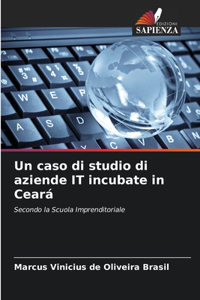 Un caso di studio di aziende IT incubate in Ceará