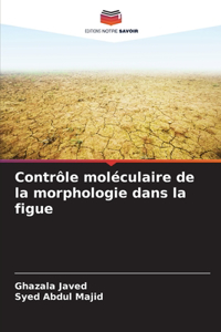 Contrôle moléculaire de la morphologie dans la figue
