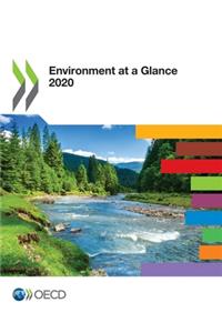 Environment at a Glance 2020