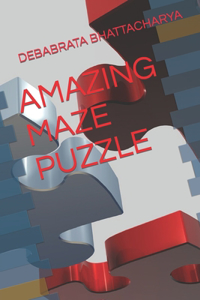 Amazing Maze Puzzle