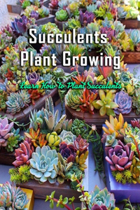 Succulents Plant Growing