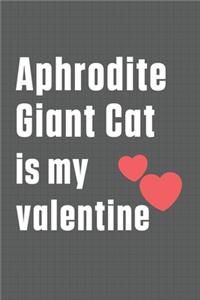 Aphrodite Giant Cat is my valentine