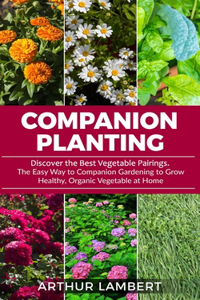 Companion Planting