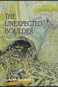 The Unexpected Boulder