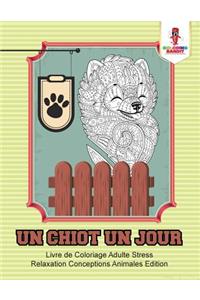 Chiot un Jour