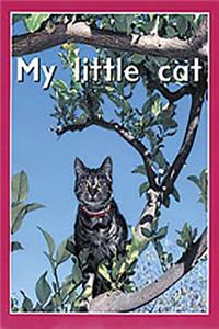 My Little Cat