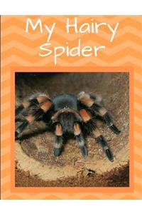 My Hairy Spider