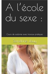 A l'école du sexe