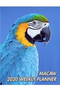 Macaw 2020 Weekly Planner