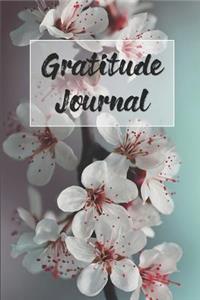 Gratitude Journal