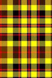 Clan Jardine Tartan Journal/Notebook