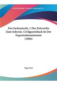 Das Sachenrecht, 1 Des Entwurfes Zum Schweiz. Civilgesetzbuch in Der Expertenkommission (1904)
