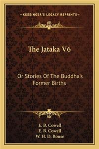 Jataka V6