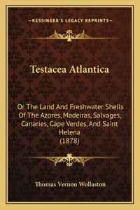 Testacea Atlantica